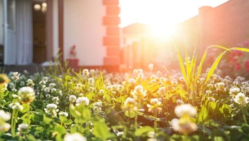 Caldo estivo e acquisto di abitazioni