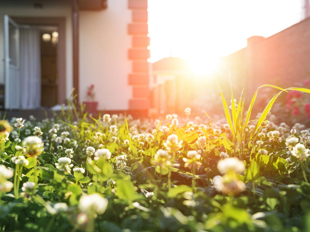 Caldo estivo e acquisto di abitazioni